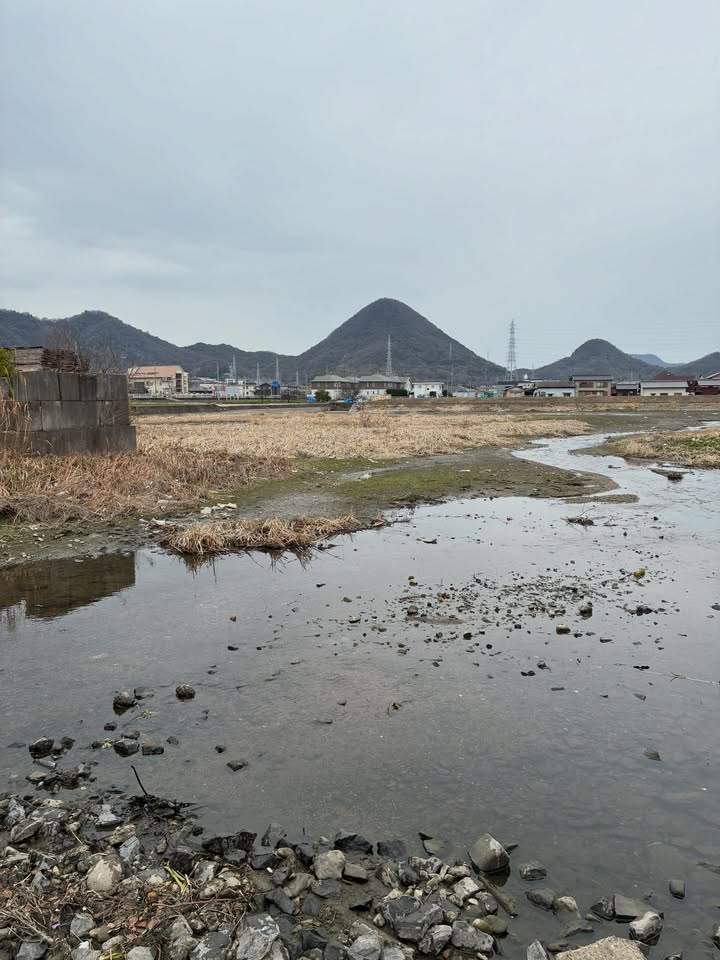 高松市円座町の新池を清掃しました(2026.03)